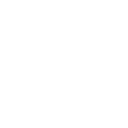 governanca