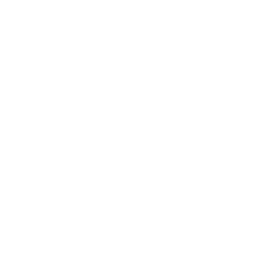 logistica