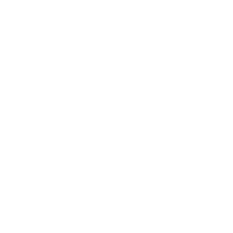 organizacao-de-arquivos