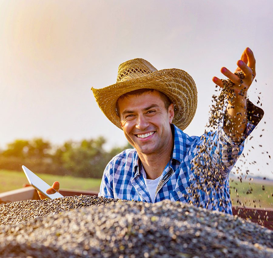 Automatização no ERP SAP agiliza em 75% o cadastramento de produtores rurais em uma agroindústria